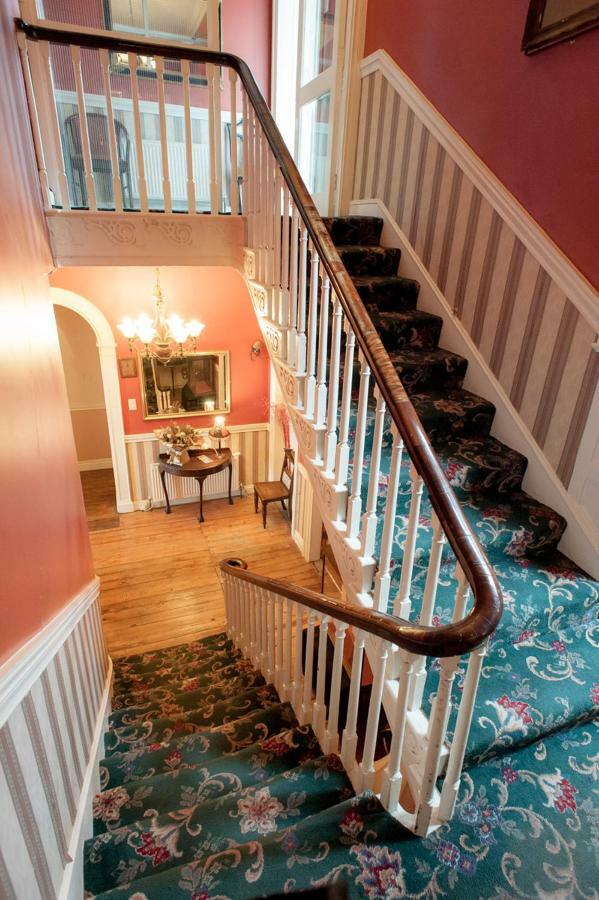 Setanta B&B Ardee Luaran gambar